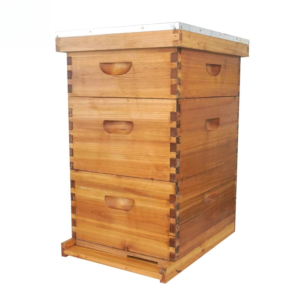 Sarang lebah Langstroth 3 lapi - Beehive Frame Wax ulasan dan harga