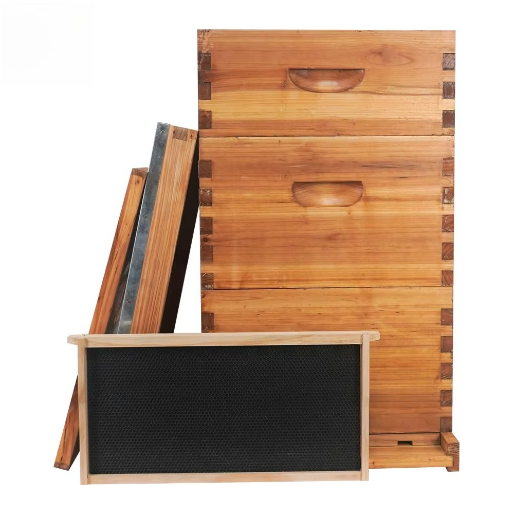 Sarang lebah Langstroth 3 lapi - Beehive Frame Wax ulasan dan harga