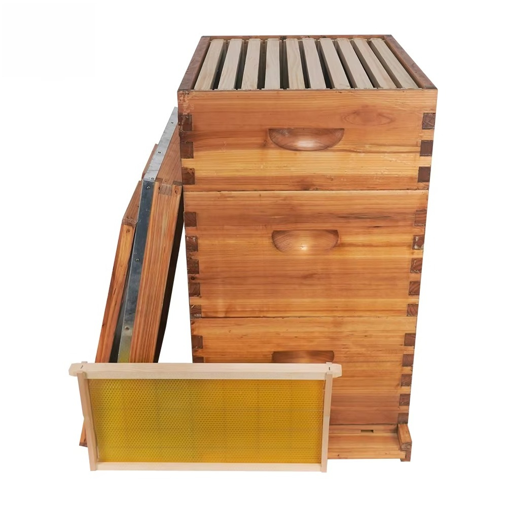 Sarang lebah Langstroth 3 lapi - Beehive Frame Wax ulasan dan harga