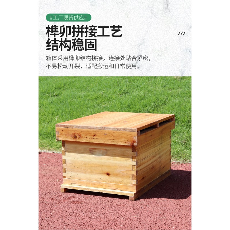 Kotak Sarang Lebah Kayu Fir 10 - Beehive Frame Wax ulasan dan harga