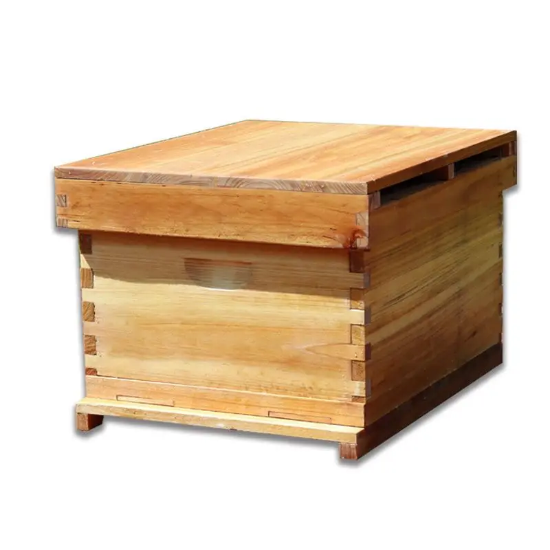 Sarang Lebah Madu dari Lilin y - Beehive Frame Wax ulasan dan harga